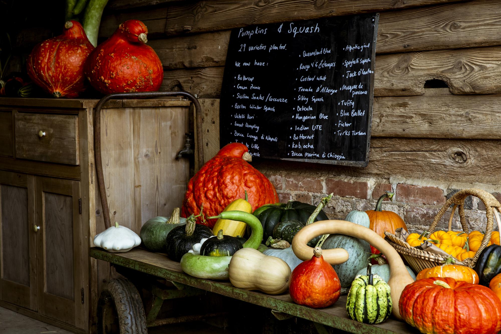 Seasonal produce laid out on market table